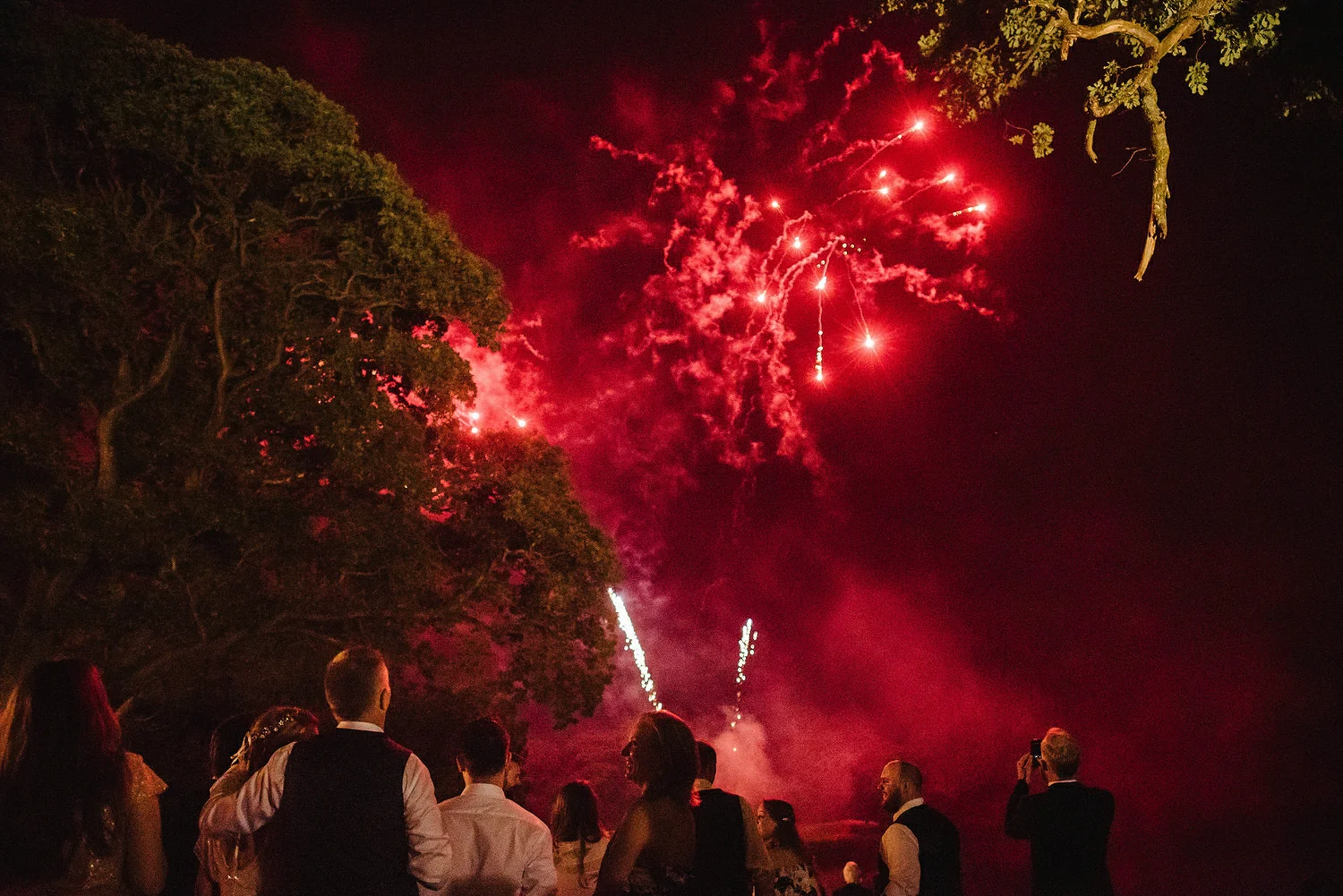  Finnebrogue Woods Magnakata wedding Northern Ireland Belfast wedding photographers 