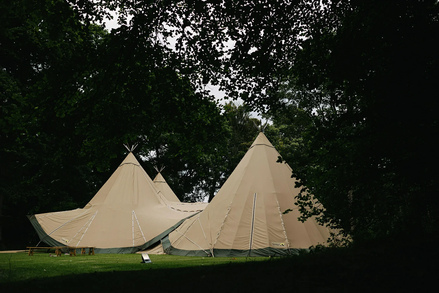  Finnebrogue Woods Magnakata wedding Northern Ireland Belfast wedding photographers 