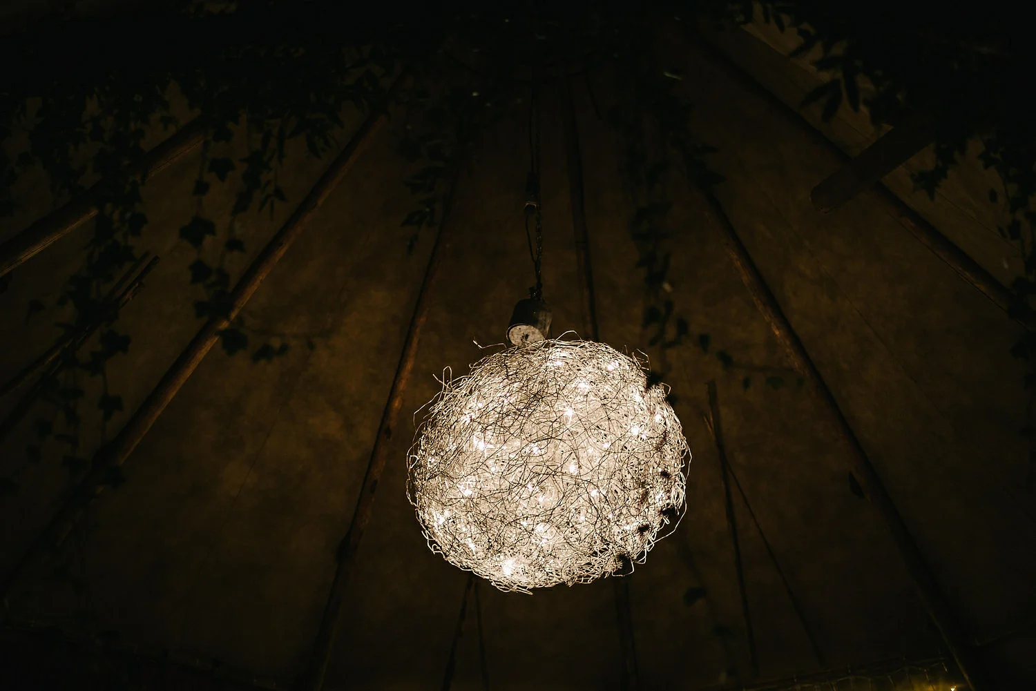  Finnebrogue Woods Magnakata wedding Northern Ireland Belfast wedding photographers 