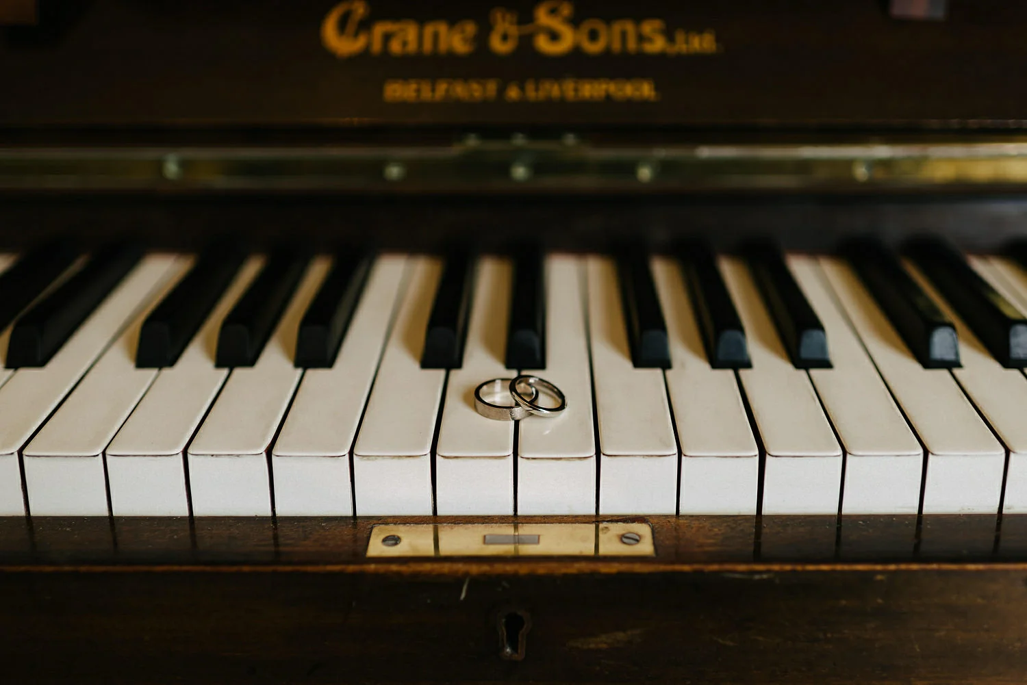  Finnebrogue Woods Magnakata wedding Northern Ireland Belfast wedding photographers 