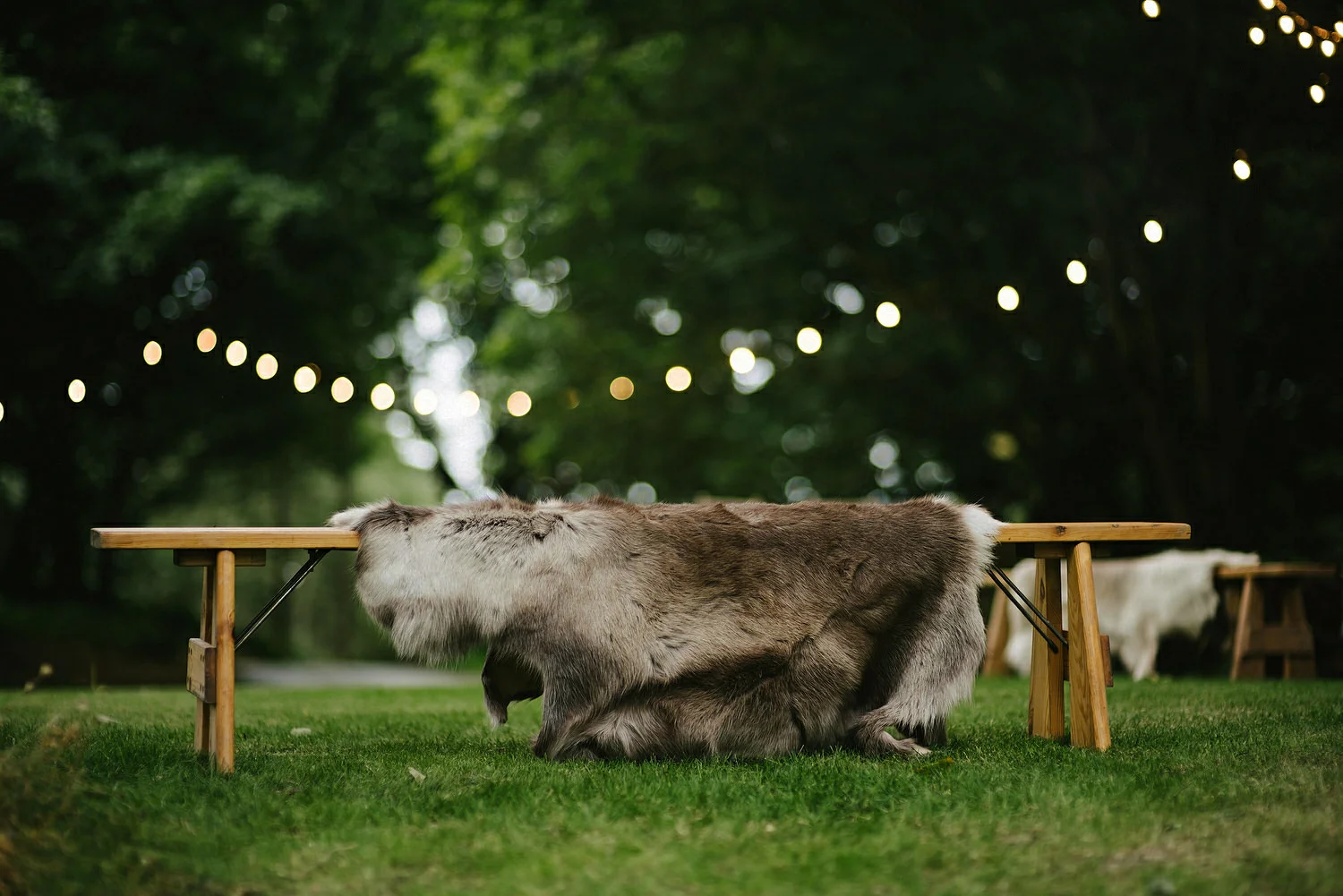  Finnebrogue Woods Magnakata wedding Northern Ireland Belfast wedding photographers 