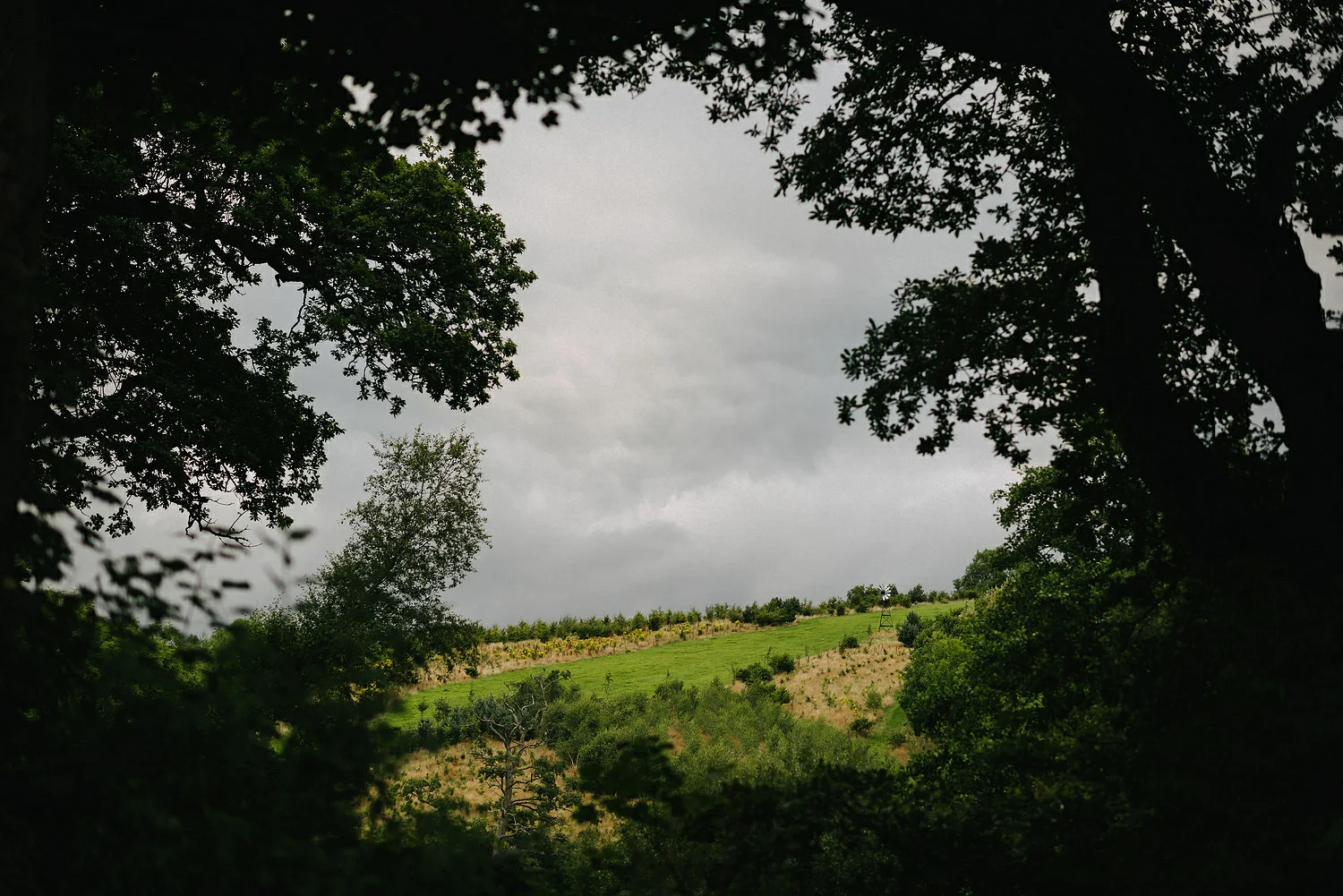  Finnebrogue Woods Magnakata wedding Northern Ireland Belfast wedding photographers 