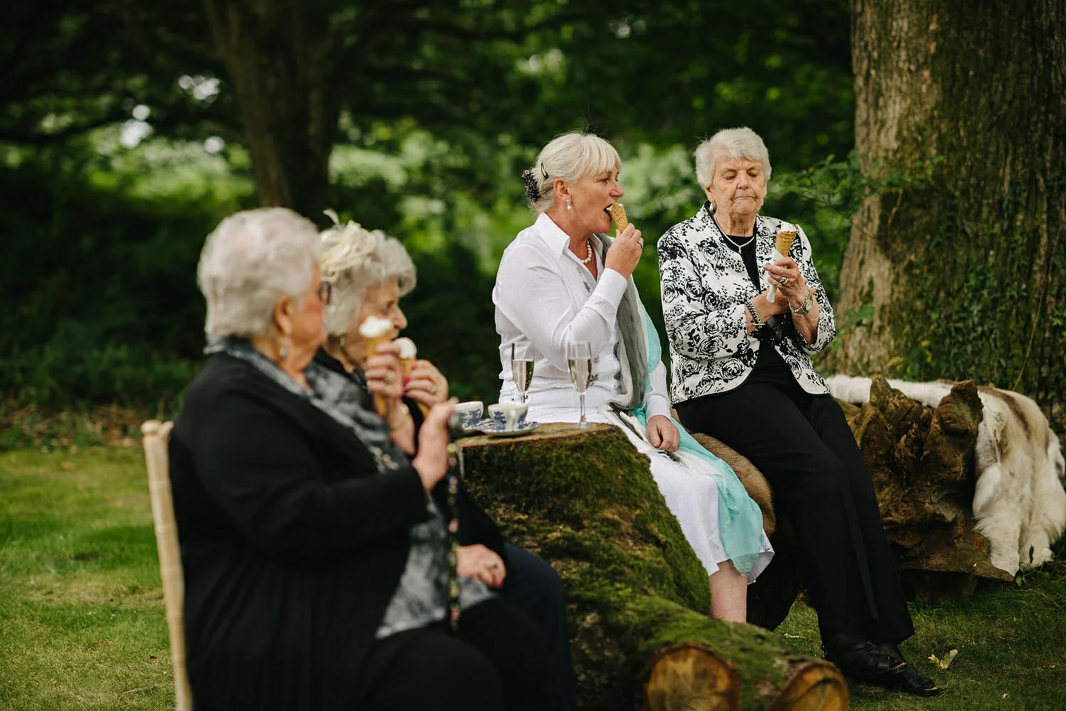  Finnebrogue Woods Magnakata wedding Northern Ireland Belfast wedding photographers 