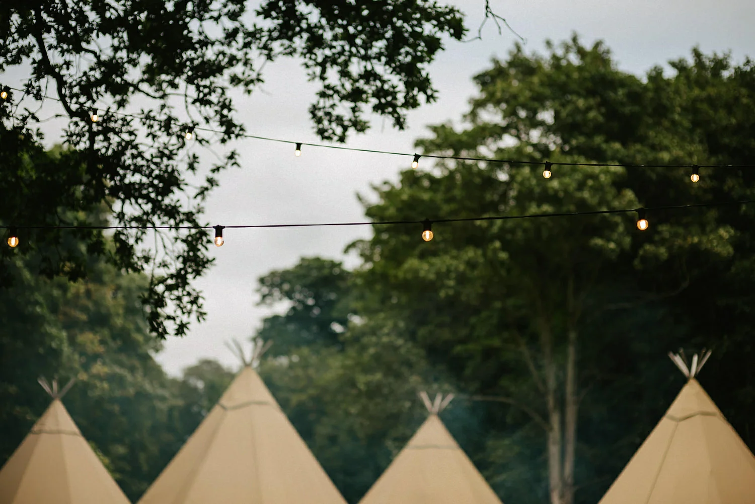  Finnebrogue Woods Magnakata wedding Northern Ireland Belfast wedding photographers 