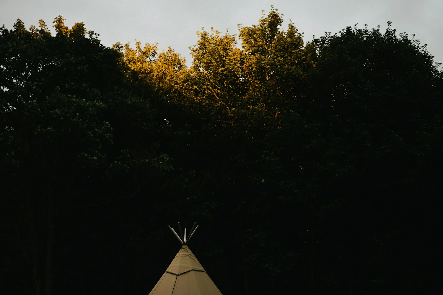  Finnebrogue Woods Magnakata wedding Northern Ireland Belfast wedding photographers 