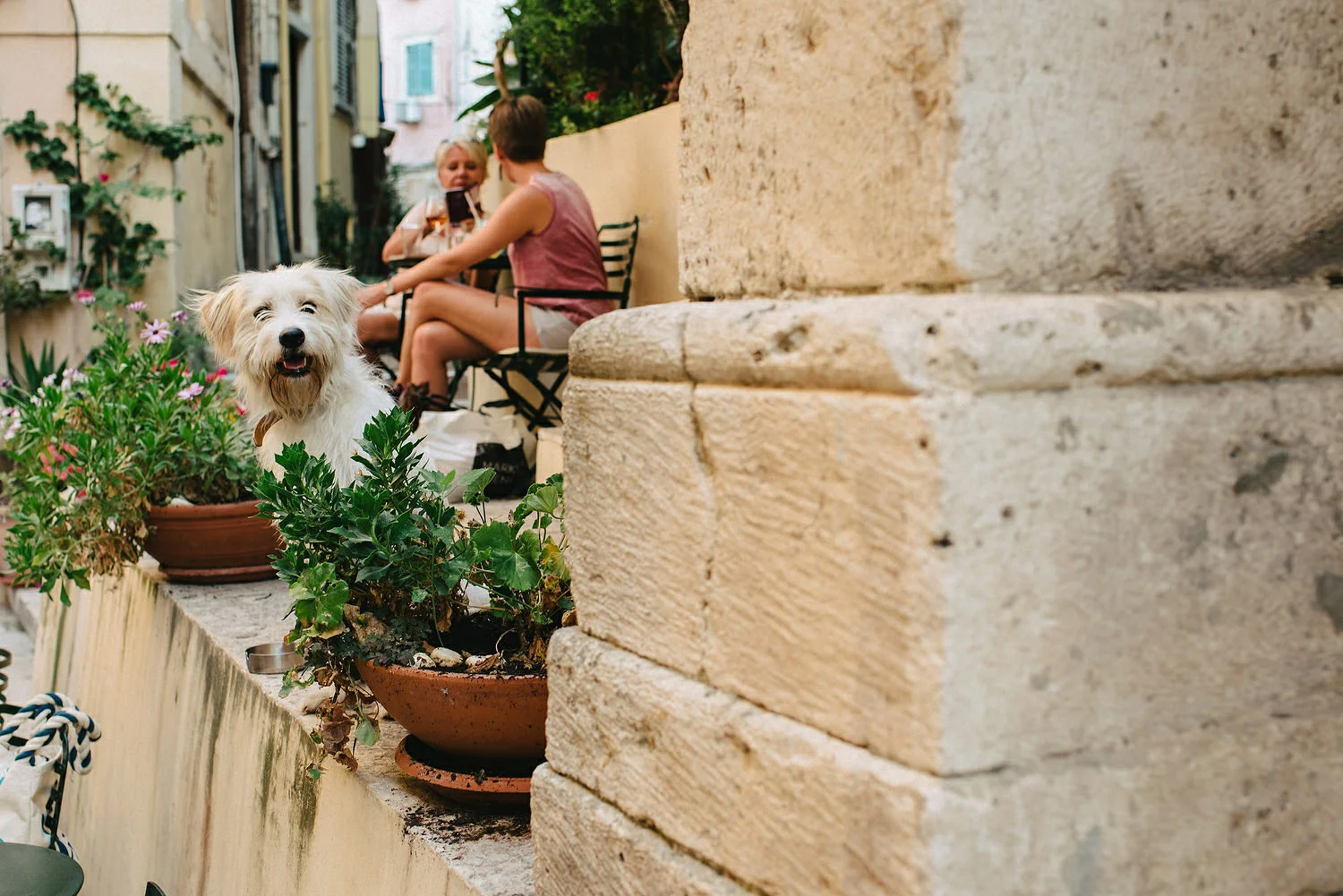  Eva and Stathis Corfu Wedding Photos, Danilia Village film location of the Durrells. English speaking wedding photographers Greece, Corfu. 