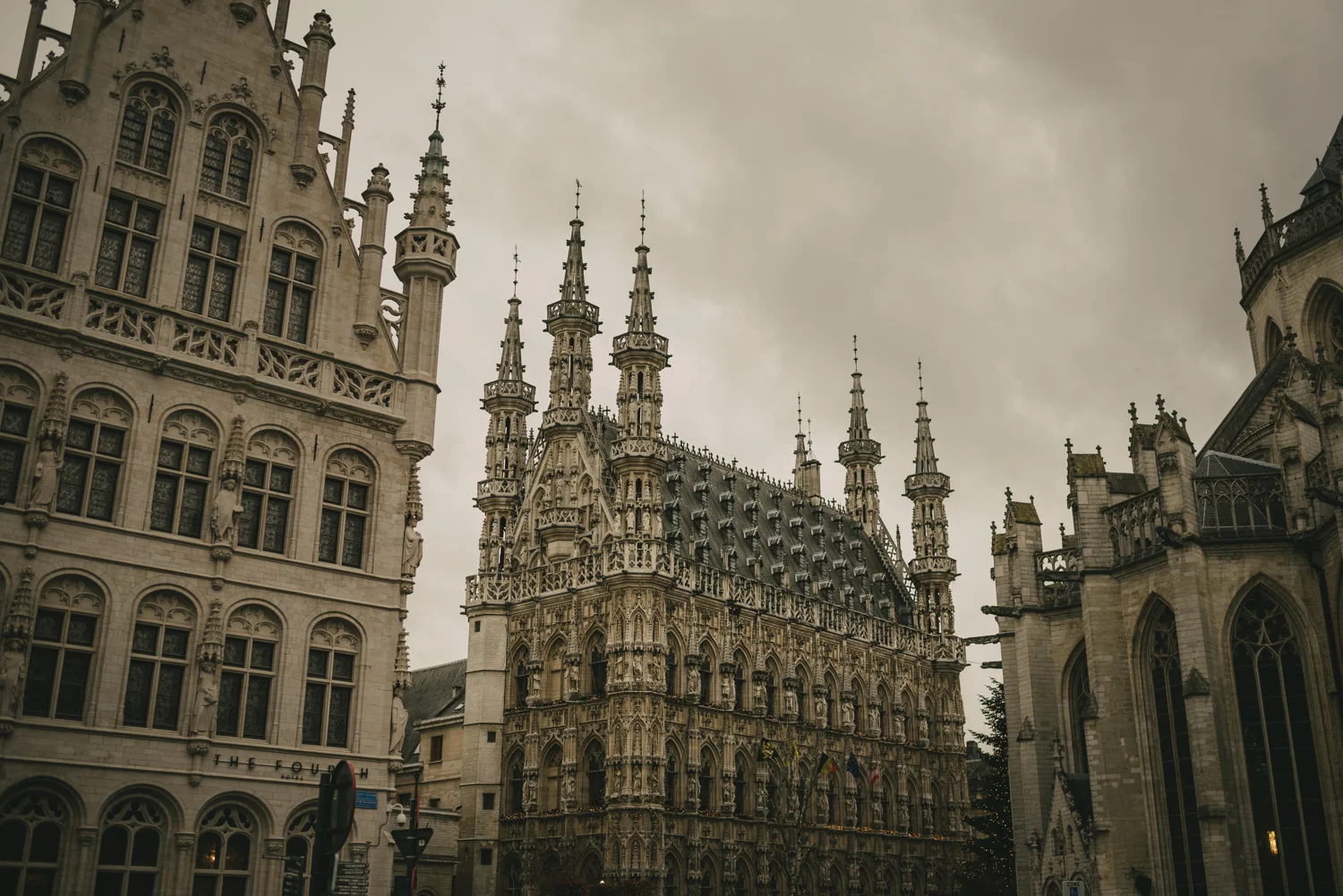  Destination wedding photographers Leuven, Brussels, Belgium.  Elise and Jens wedding. Abbey Herkenrode wedding. Leuven Botanical Gardens, Kruidtuin 