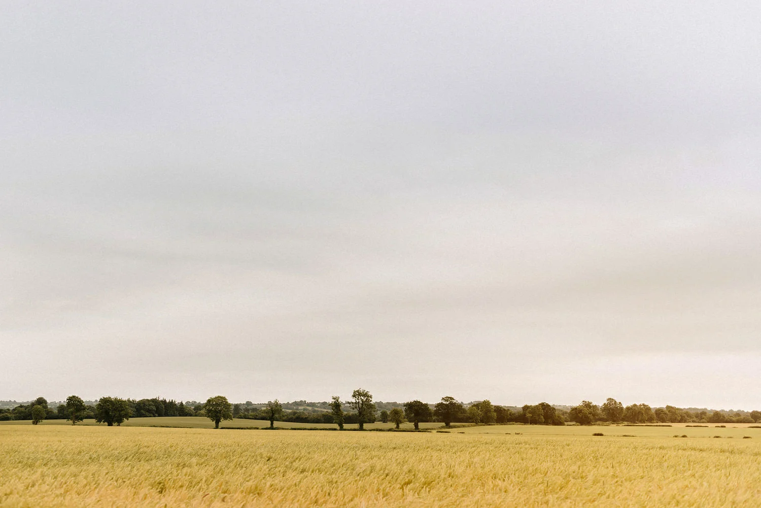  Wedding Photographers Northern Ireland and Destination Simple Tapestry. Wedding Photos at Ballymagarvey Village, Ireland, Guinness, Irish wedding, summer, humanist wedding 
