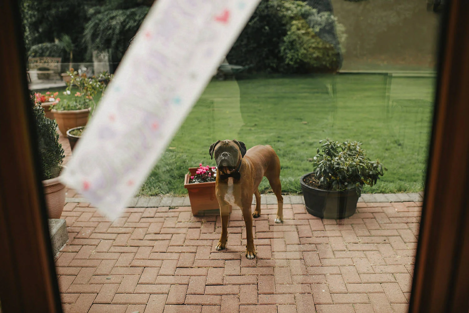 Humanist Wedding Ireland 002.JPG