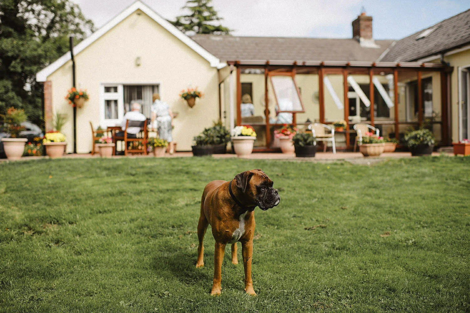  Clonabreany House Wedding, Best Irish Wedding Photographers, Dinosaur themed wedding, alternative wedding dress, first look 