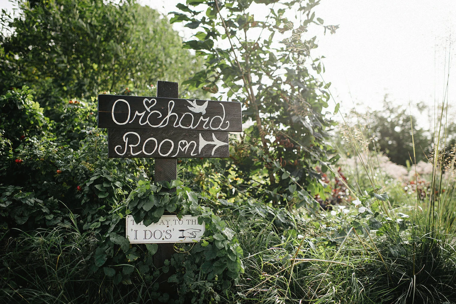 Humanist Wedding Ireland 111.JPG