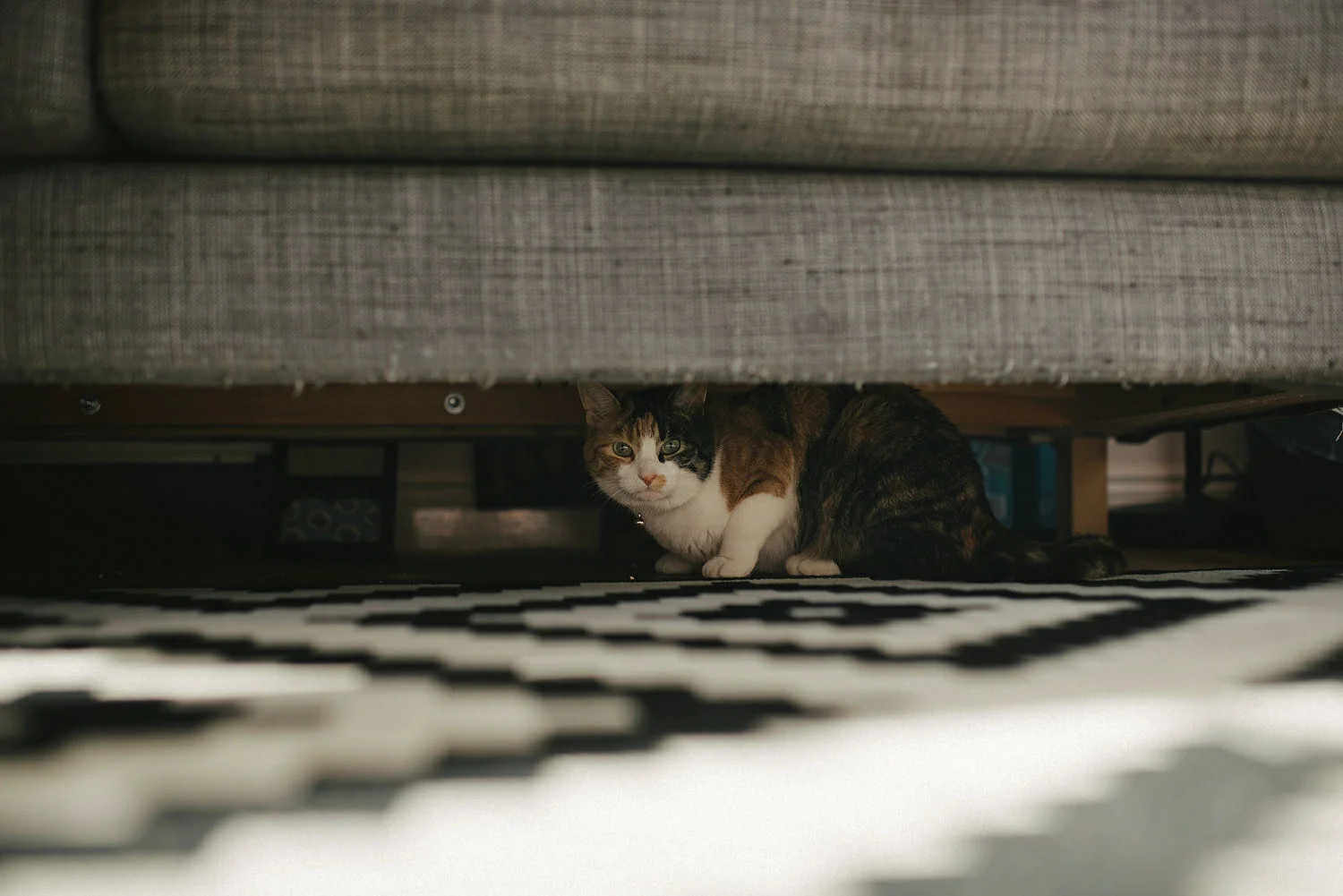 Humanist Wedding Ireland 027.JPG