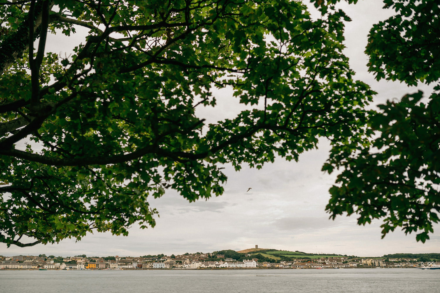 Old Court Chapel Wedding Photos 0188.JPG