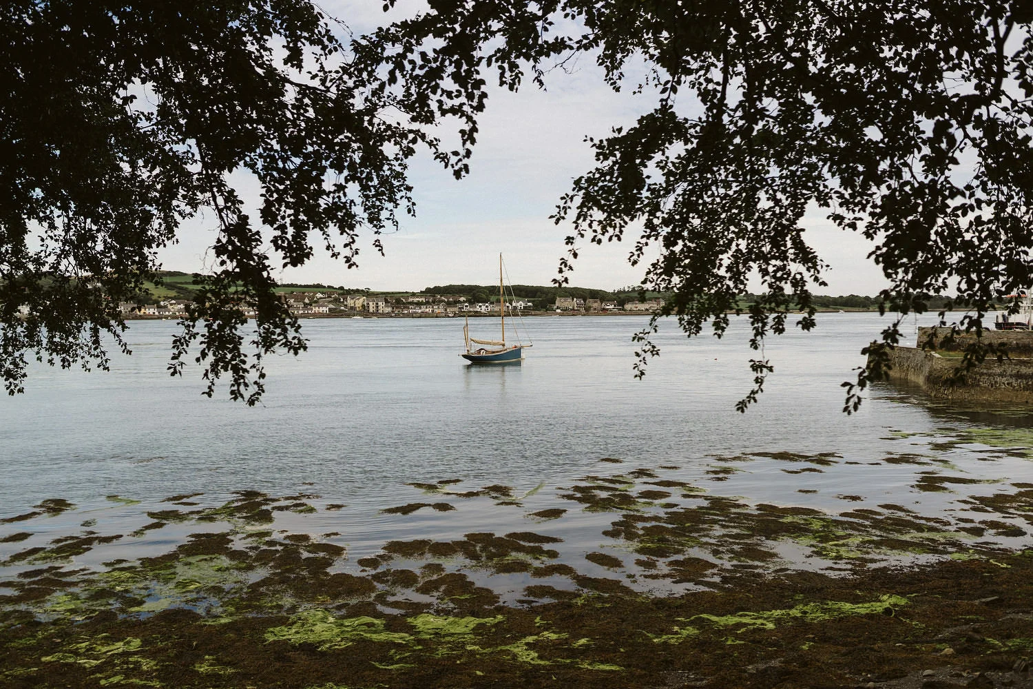 Old Court Chapel Wedding Photos 0132.JPG