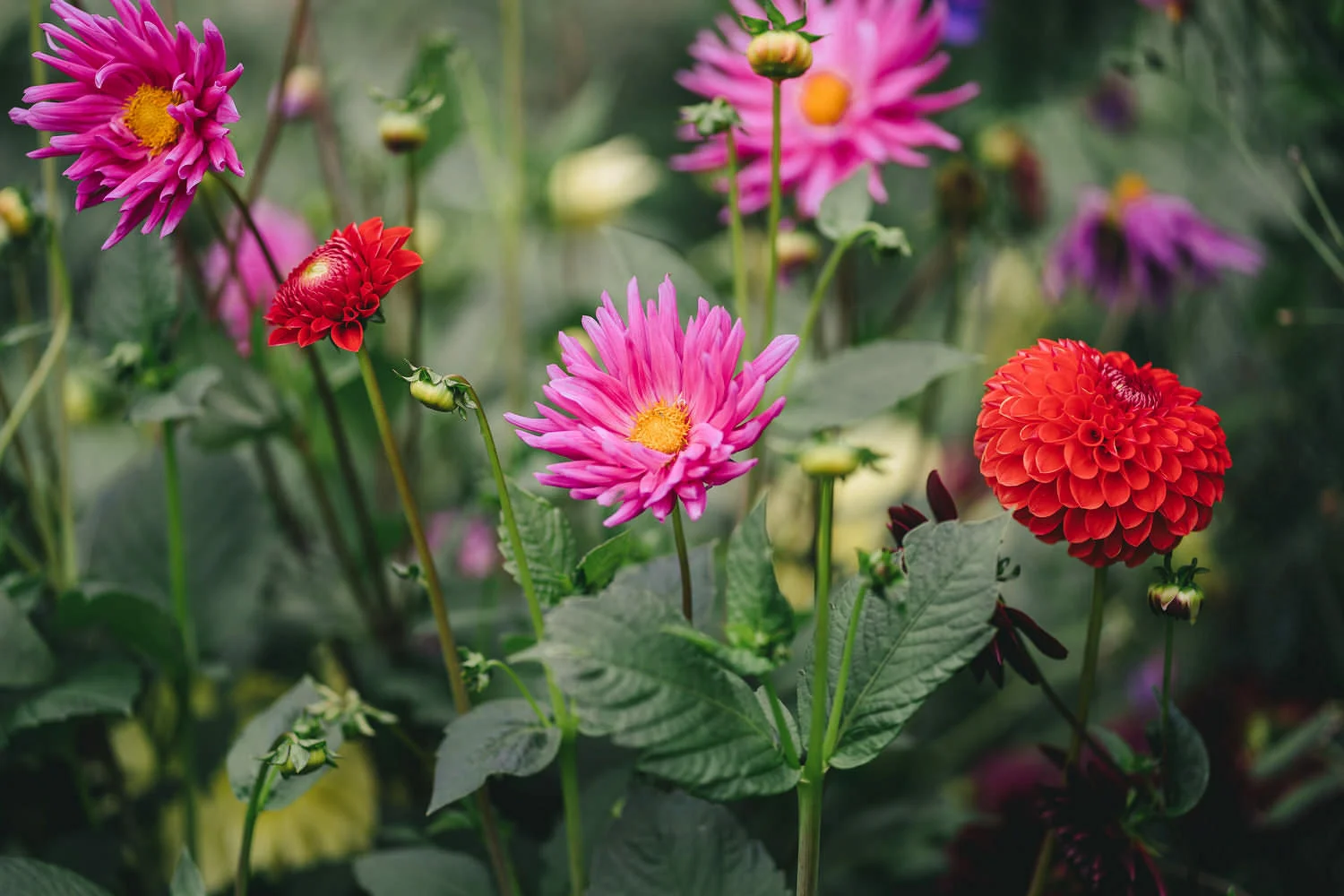 Old Court Chapel Wedding Photos 0032.JPG