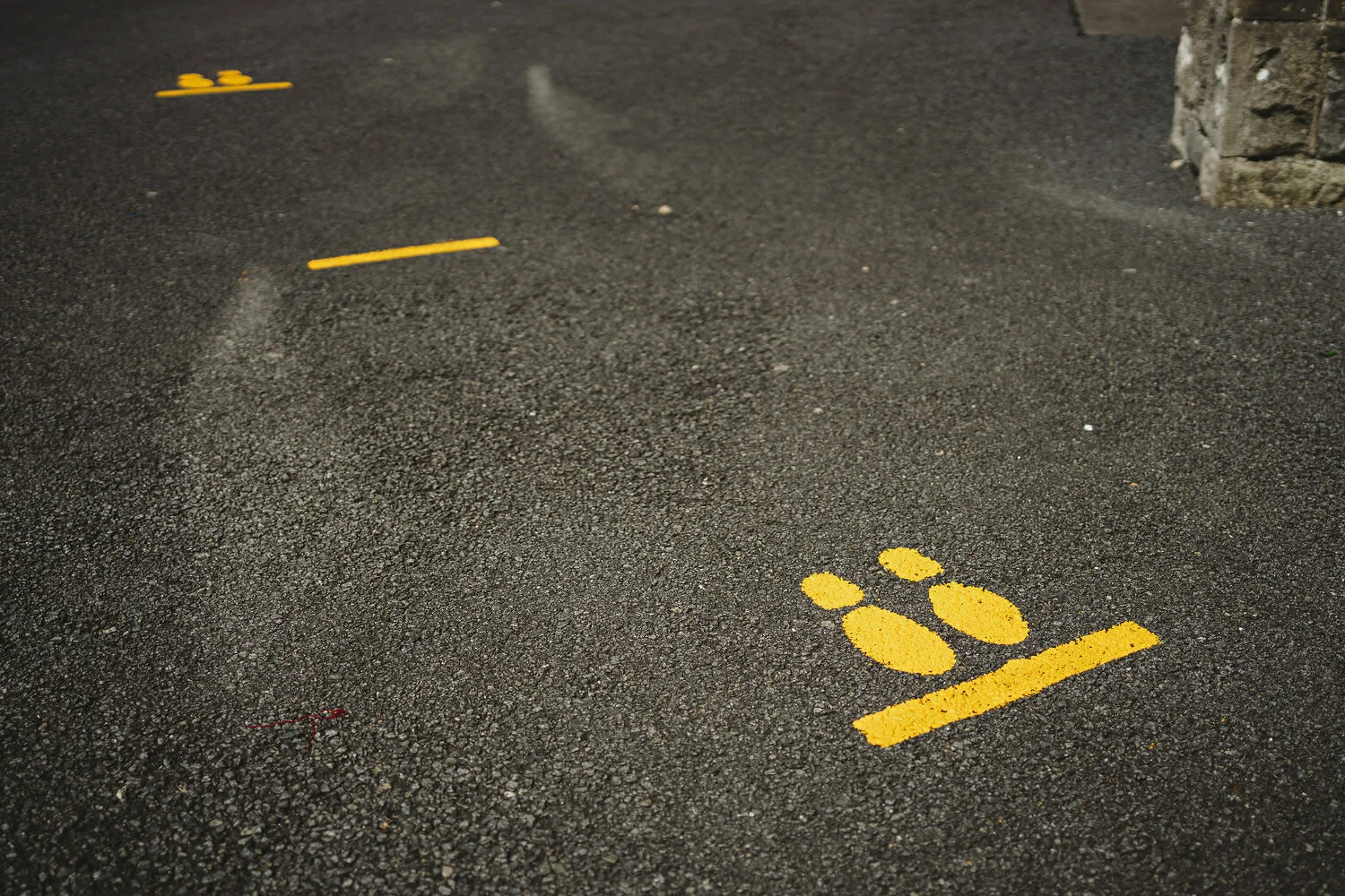  Covid-19 Elopement because of coronavirus in Ireland 2020 