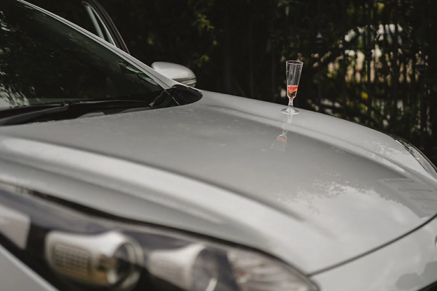  Bellinter House Wedding Photos 