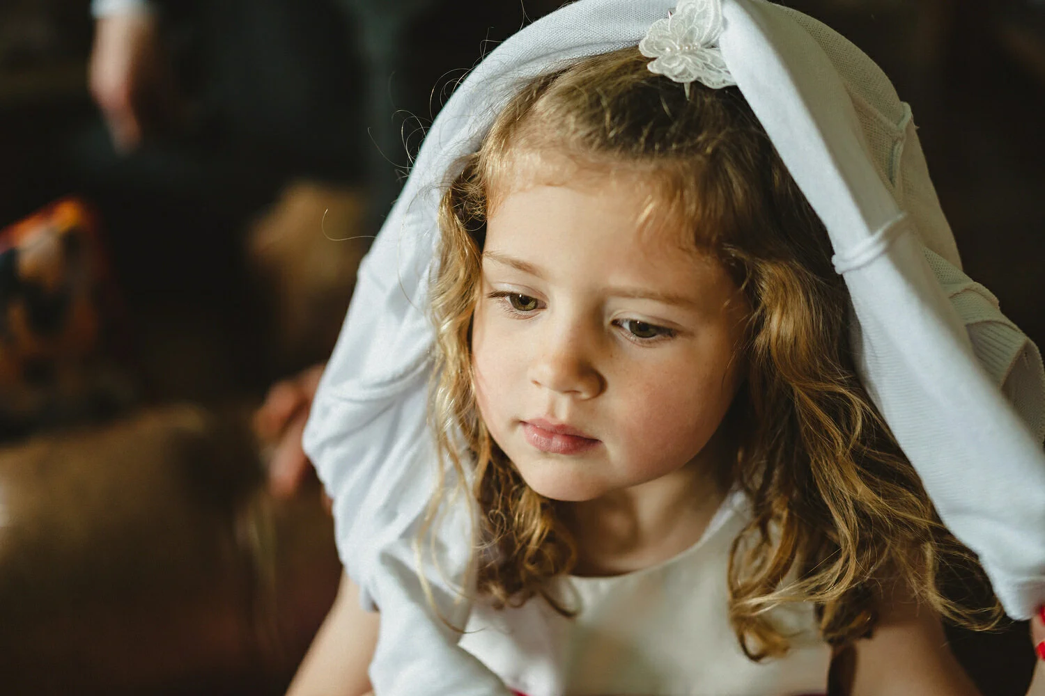  Bellinter House Wedding Photos 