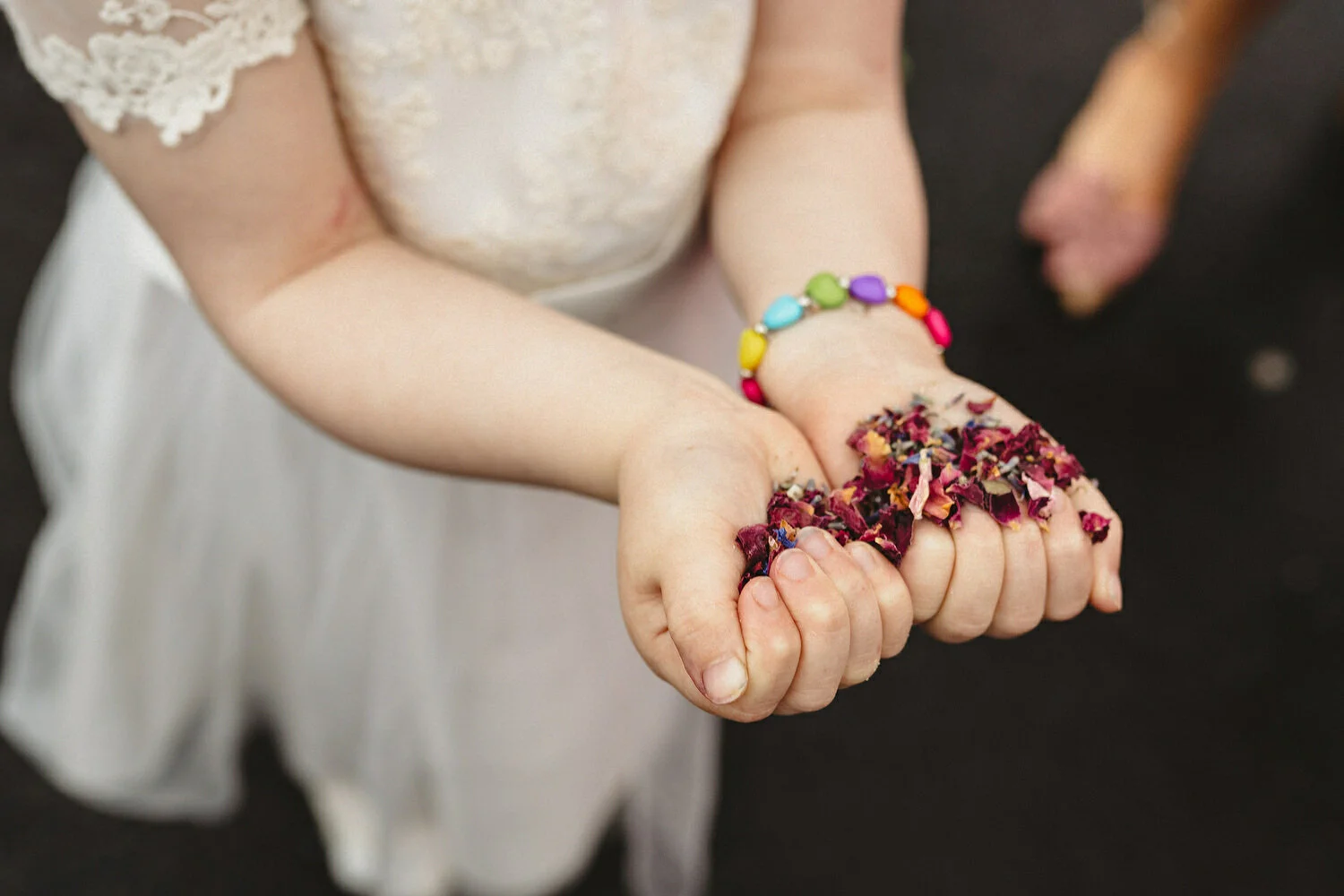  Bellinter House Wedding Photos 