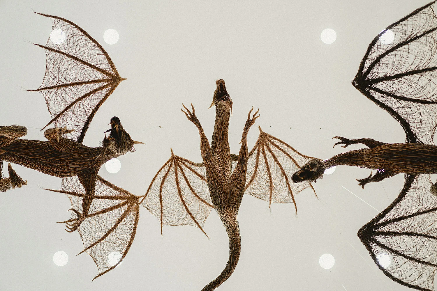  Ulster Museum Belfast wedding photos 