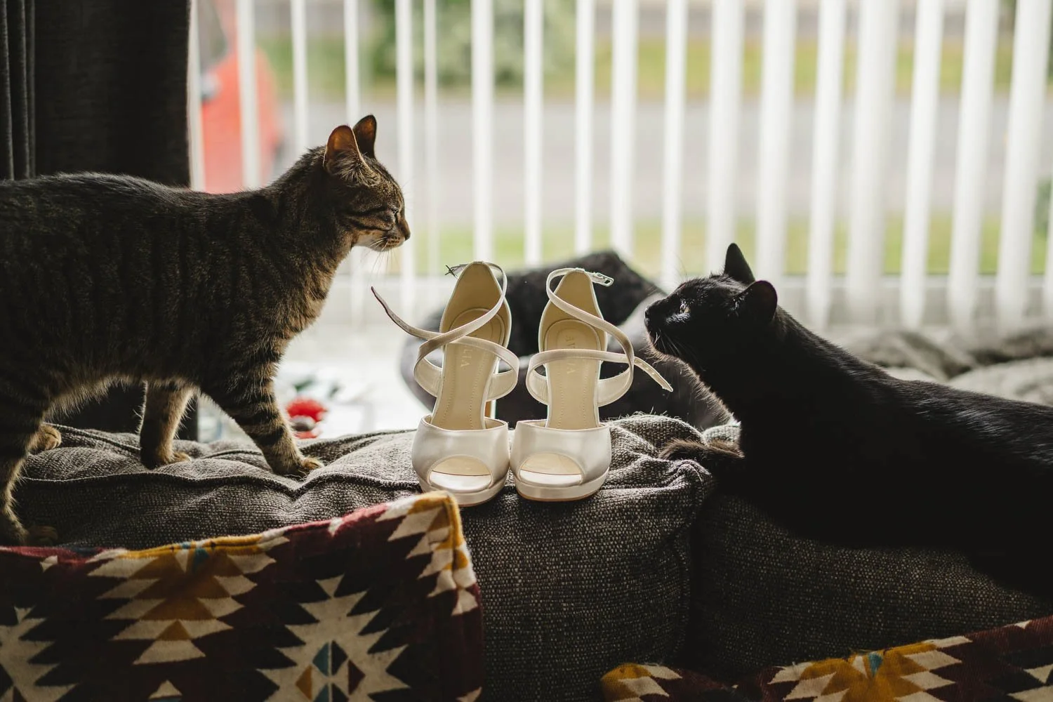  Geraldine and Greg’s cool wedding in the Treehouse at AMPM/Cabaret Supper Club in Belfast.  After their ceremony in Saintfield, we took the couple to Botanic Gardens in Belfast for their Wedding Photos.   