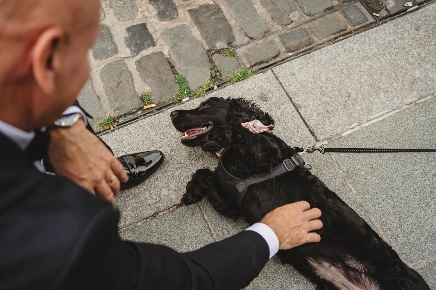 Shannon and Aaron’s beautiful Humanist Wedding in the Drawing Room at Titanic hotel in Belfast.  Their celebrant was the Amazing Laura Fitzsimons from Humanists UK.  