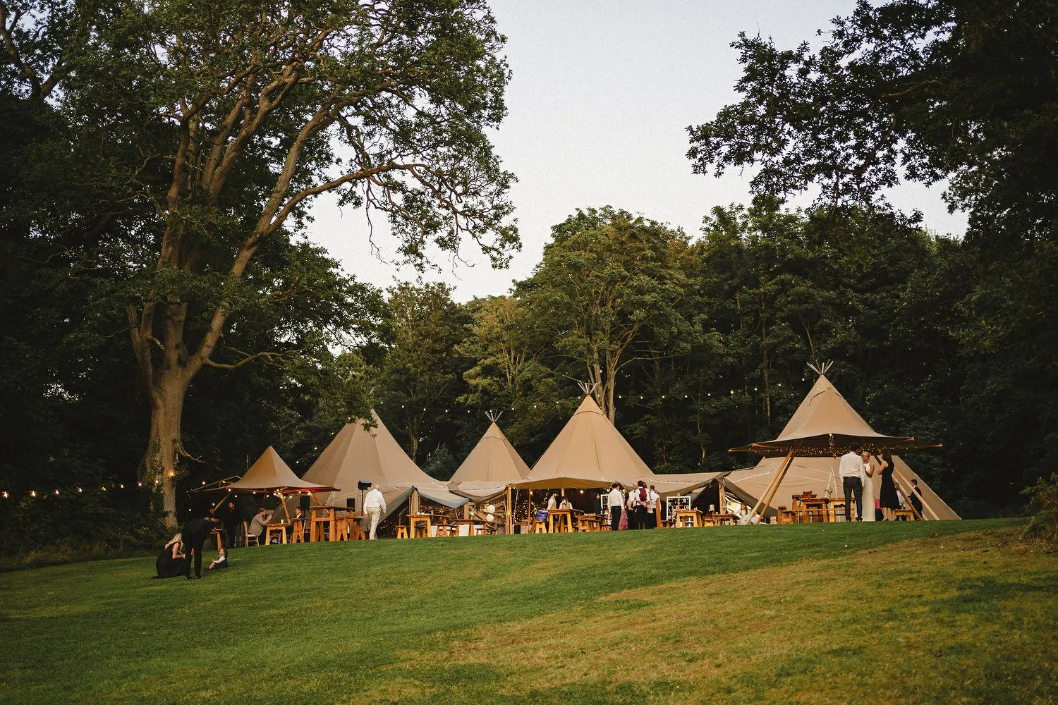 179 Finnebrogue Woods Wedding Photos.JPG