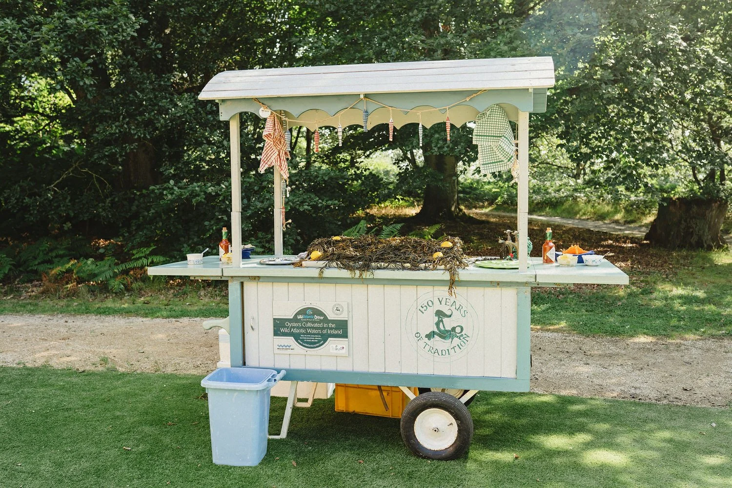 086 Finnebrogue Woods Wedding Photos.JPG