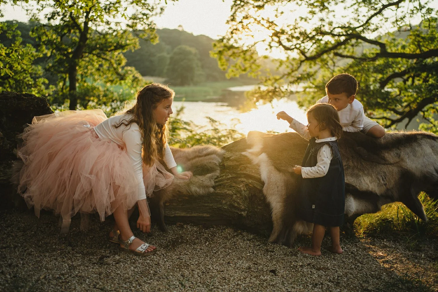 177 Finnebrogue Woods Wedding Photos.JPG