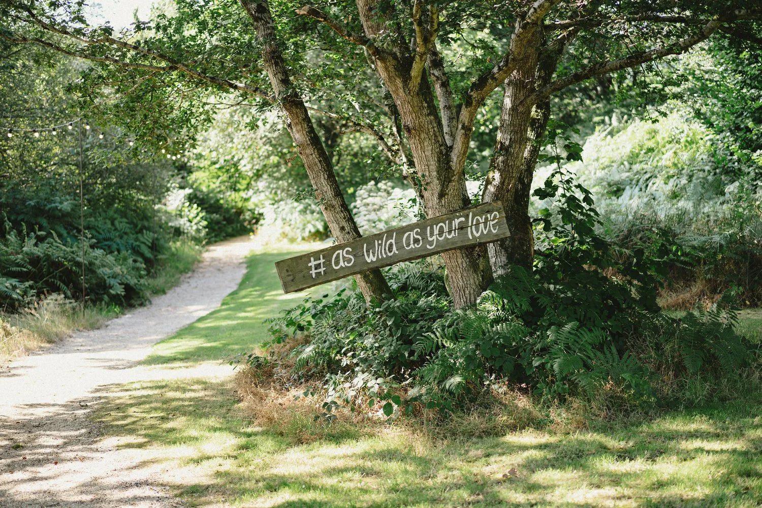 070 Finnebrogue Woods Wedding Photos.JPG