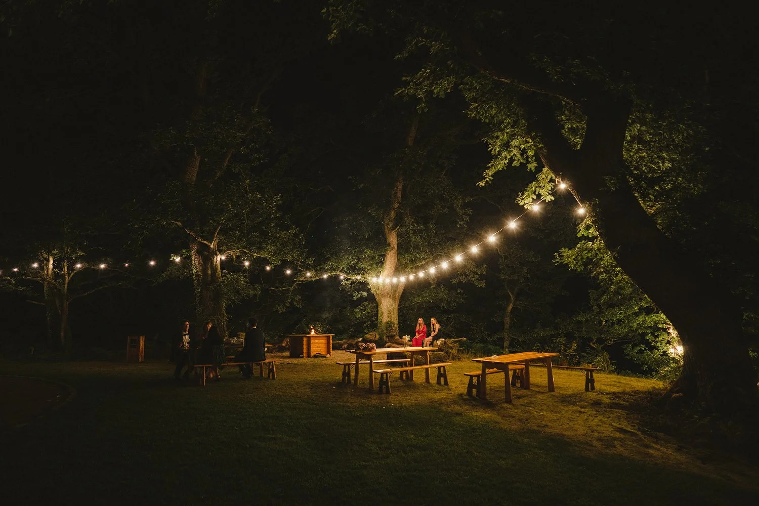 194 Finnebrogue Woods Wedding Photos.JPG