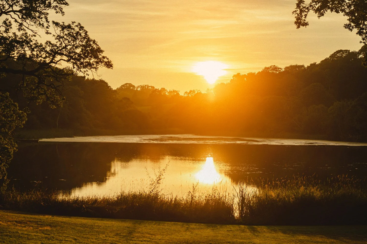 178 Finnebrogue Woods Wedding Photos.JPG