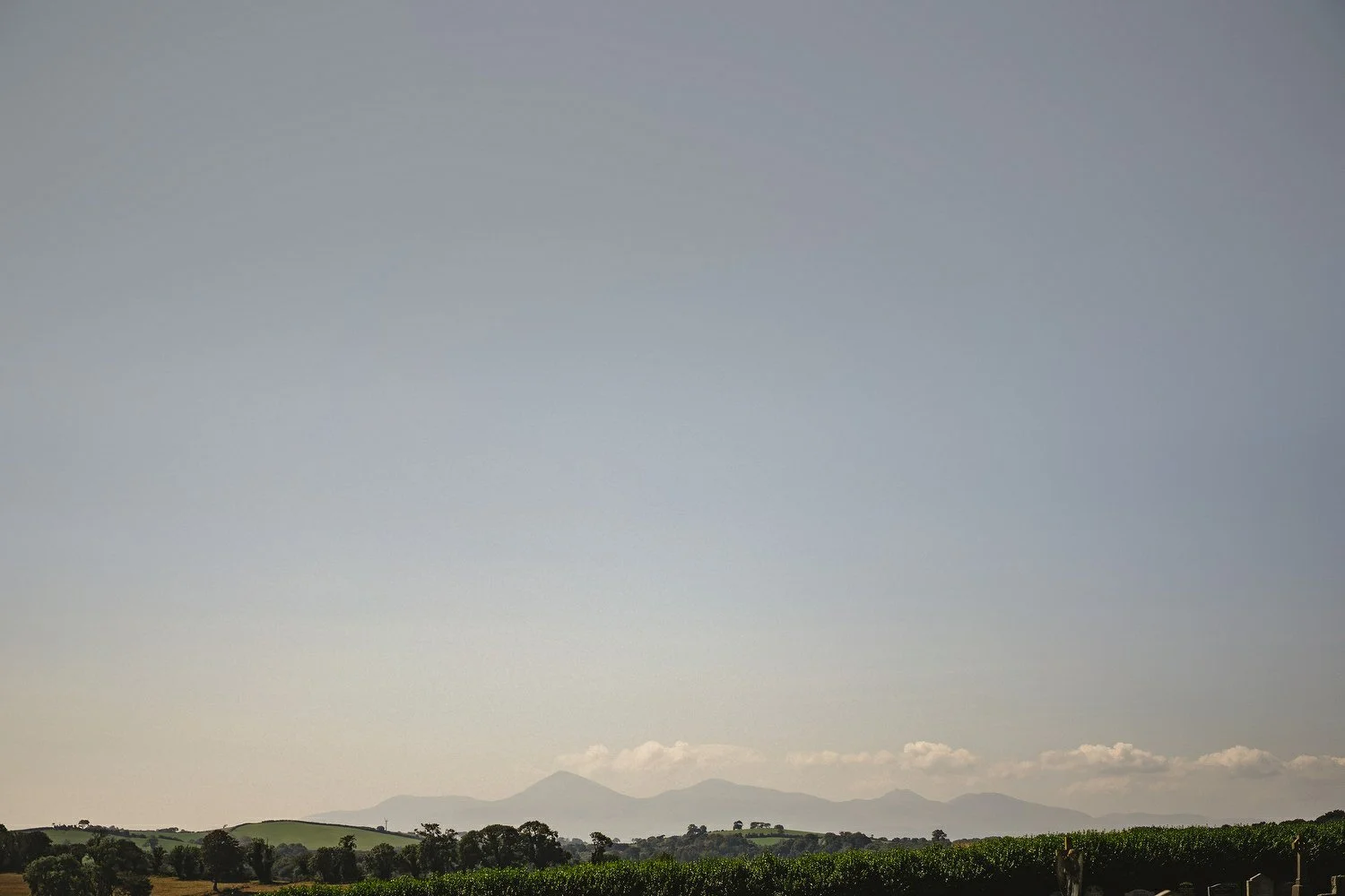 025 Finnebrogue Woods Wedding.JPG