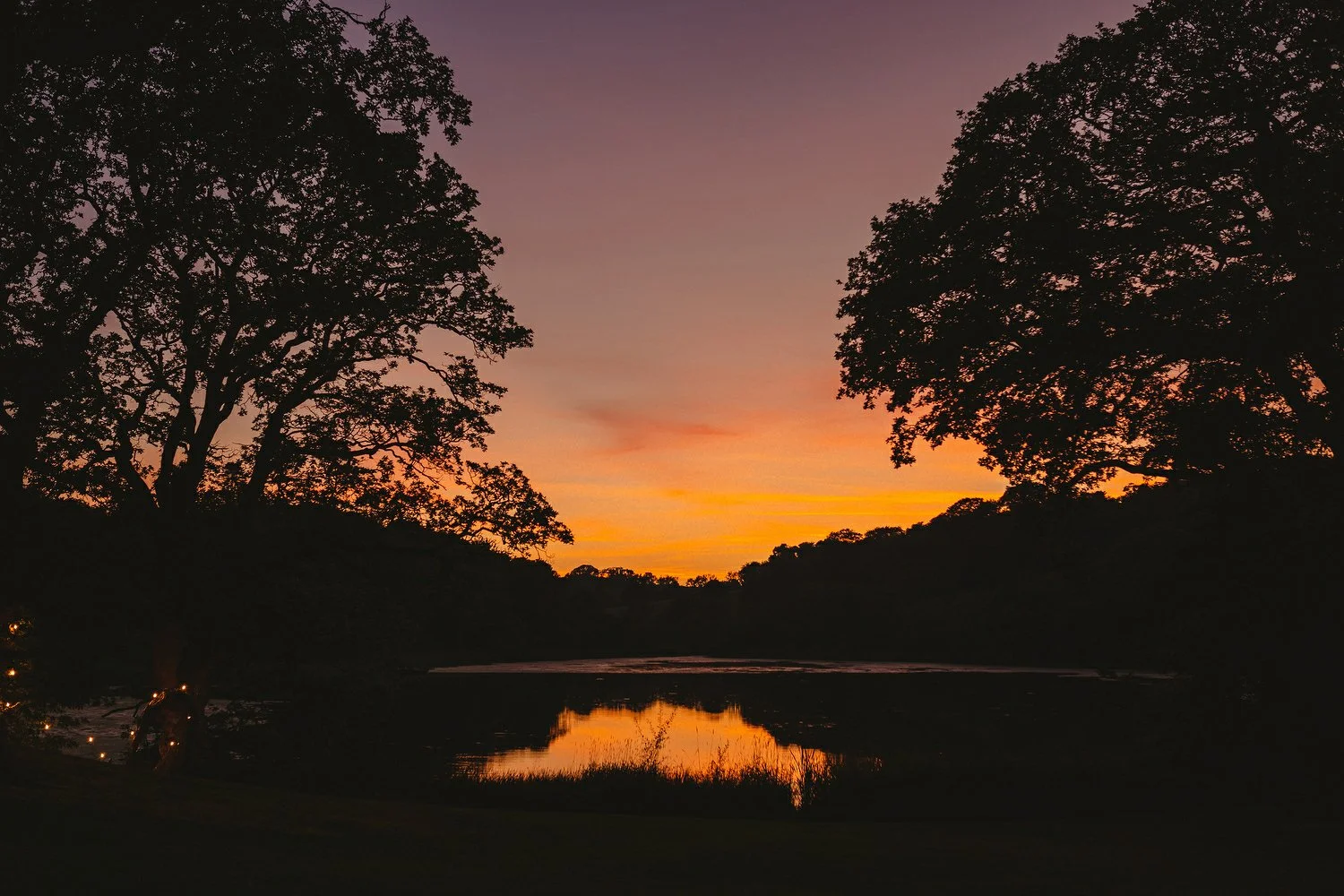 182 Finnebrogue Woods Wedding Photos.JPG