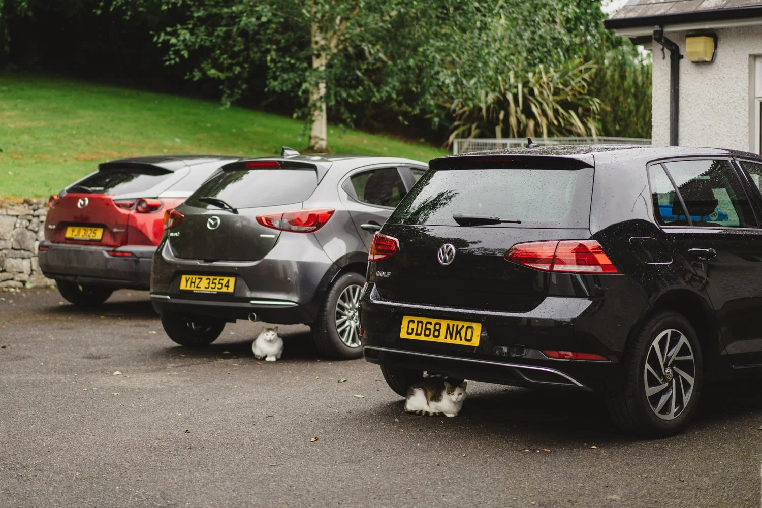  Beth Bradley and Colm Hicks wedding in the Sacred Heart Church in Omagh with wedding reception in Castle Leslie Estate in Glaslough, Monaghan.  Entertainment by Jazz Gazette and The Rare Aul Stuff 