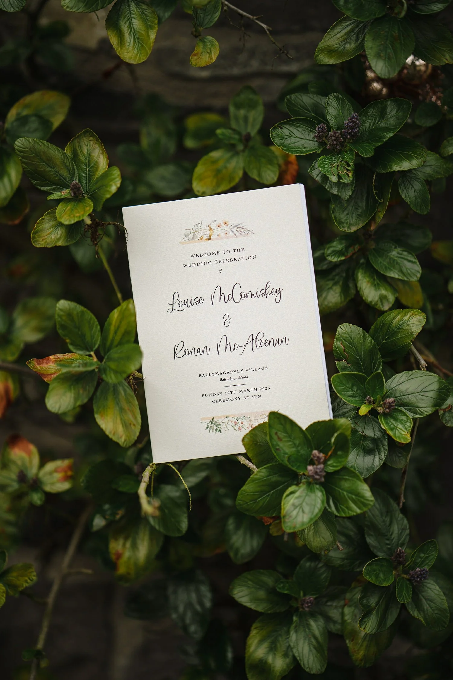 Ballymagarvey Village winter wedding photos 003.JPG