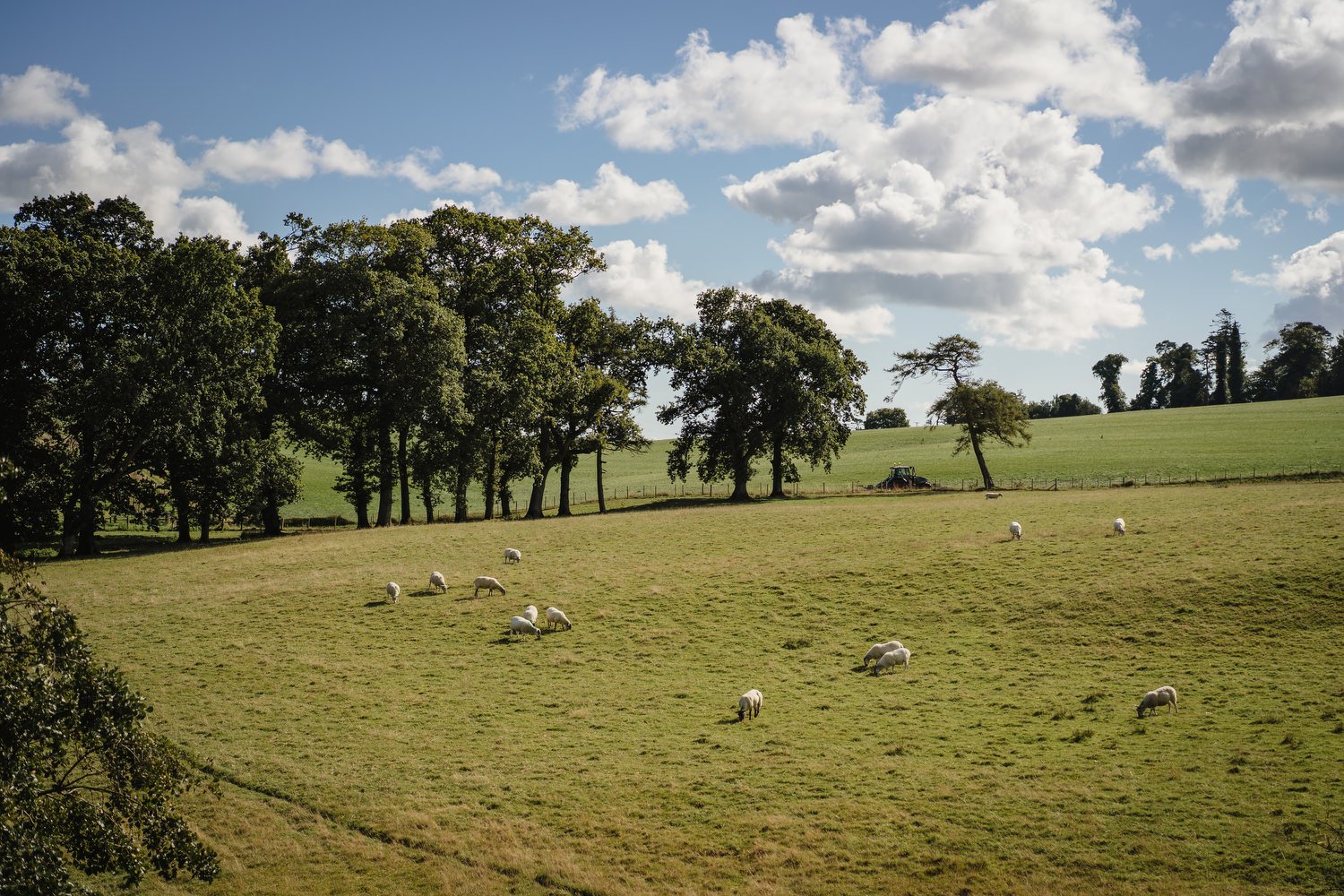  Carriage Rooms at Montalto wedding photos 