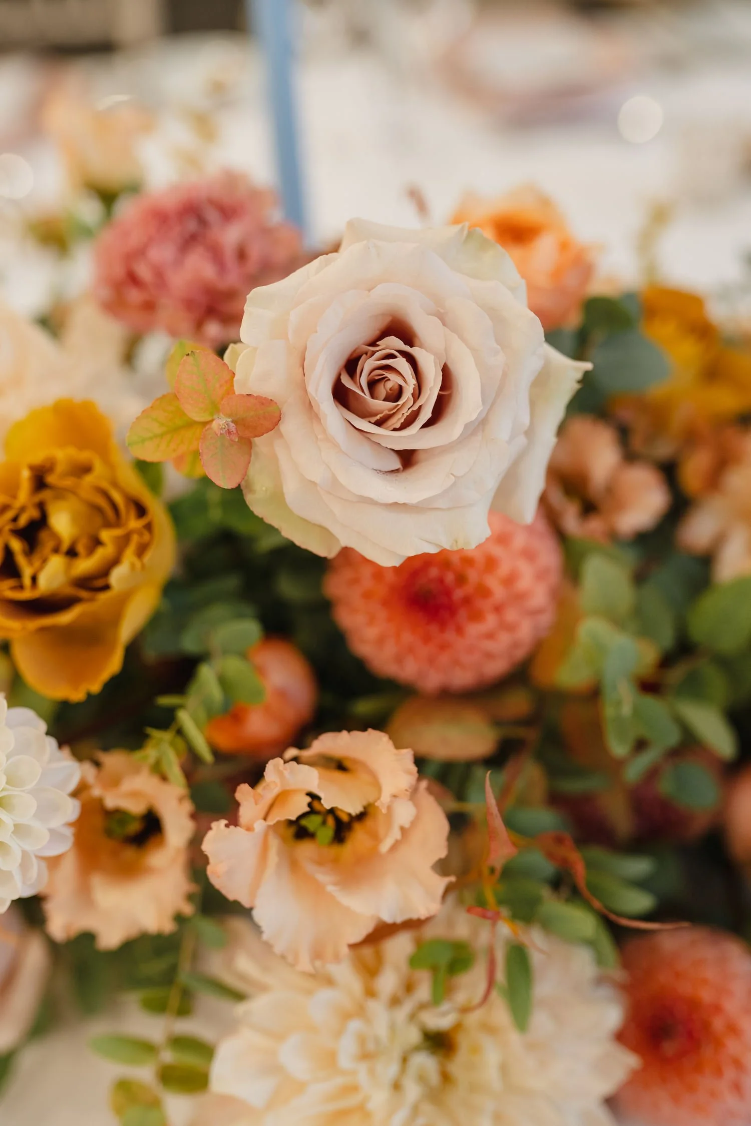  Grainne and Joe’s wedding in Solis Lough Eske Castle in Donegal with photos in Biddy’s o’Barnes 