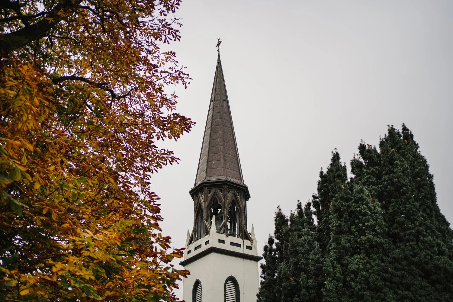  Grainne and Joe’s wedding in Solis Lough Eske Castle in Donegal with photos in Biddy’s o’Barnes 