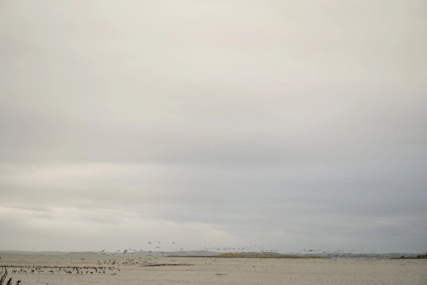  Orange Tree House Greyabbey Wedding Photos 