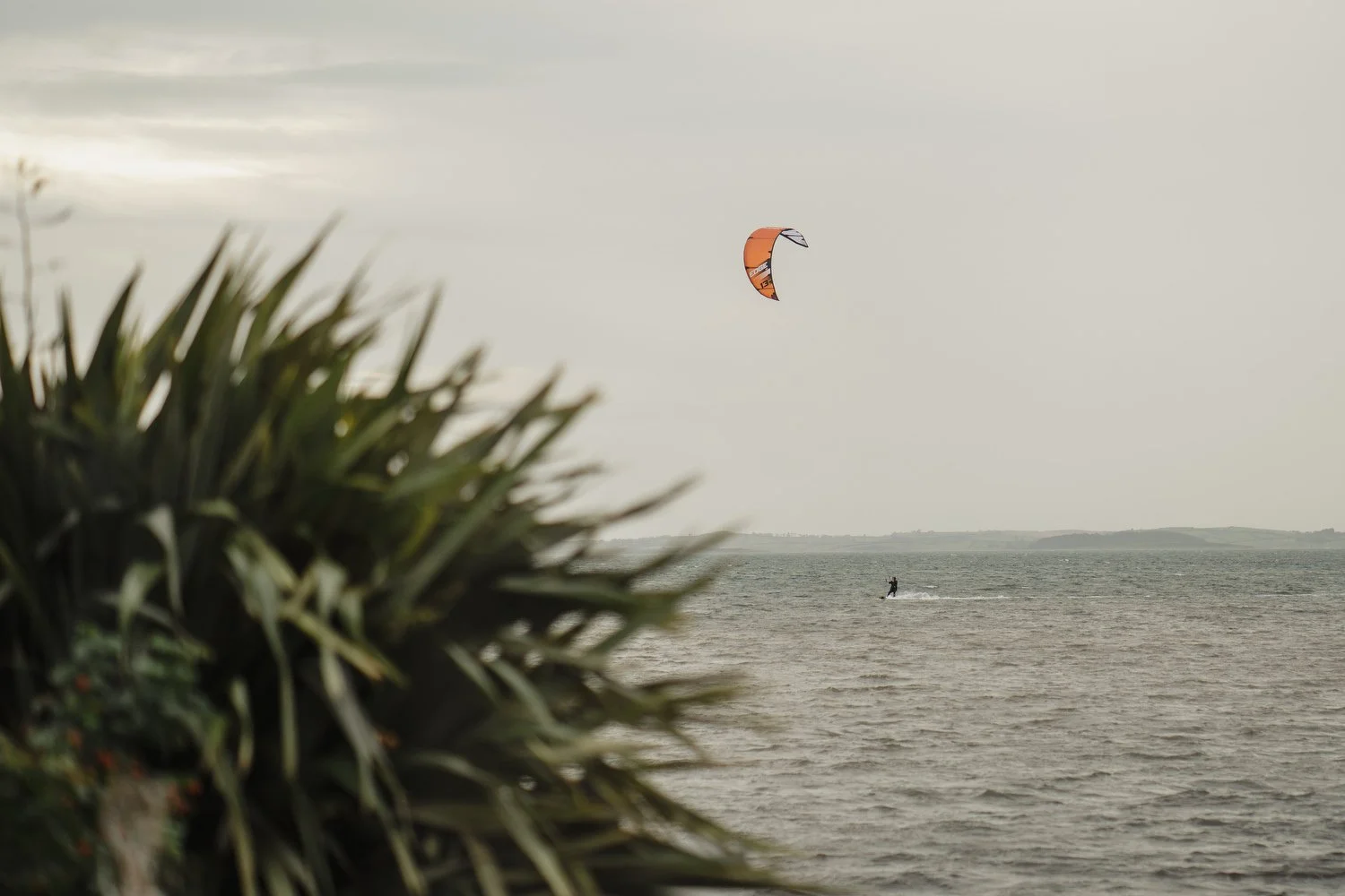  Orange Tree House Greyabbey Wedding Photos 