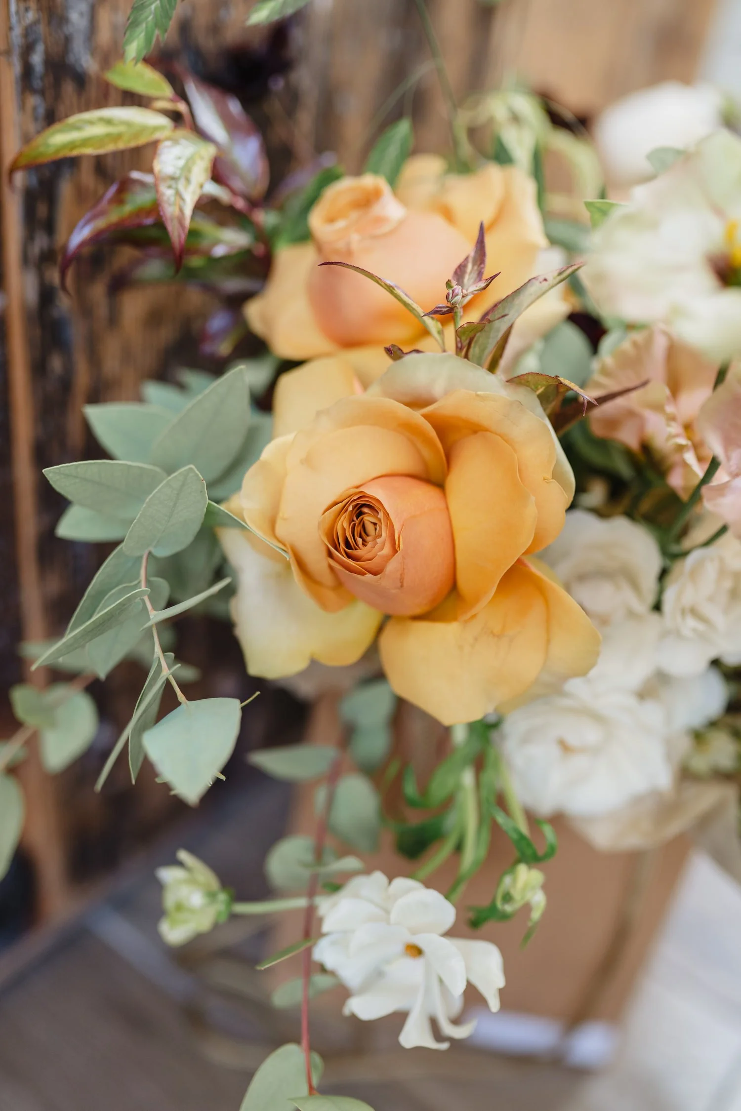  Orange Tree House Greyabbey Wedding Photos 