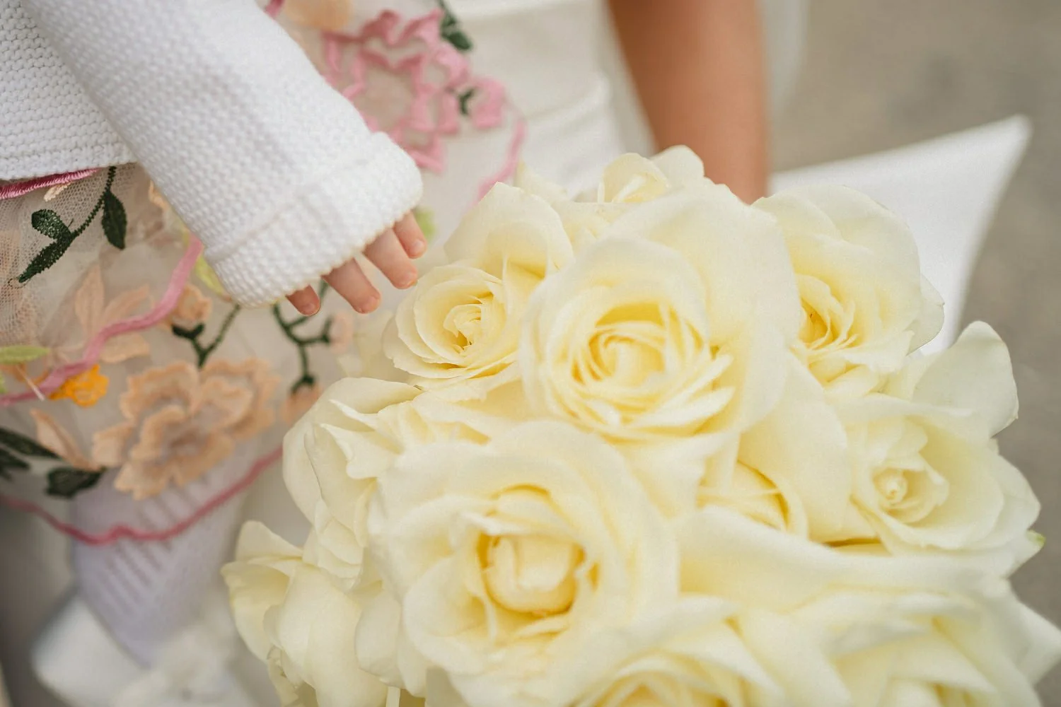  Best Wedding Photography Northern Ireland 2023 by Simple Tapestry  