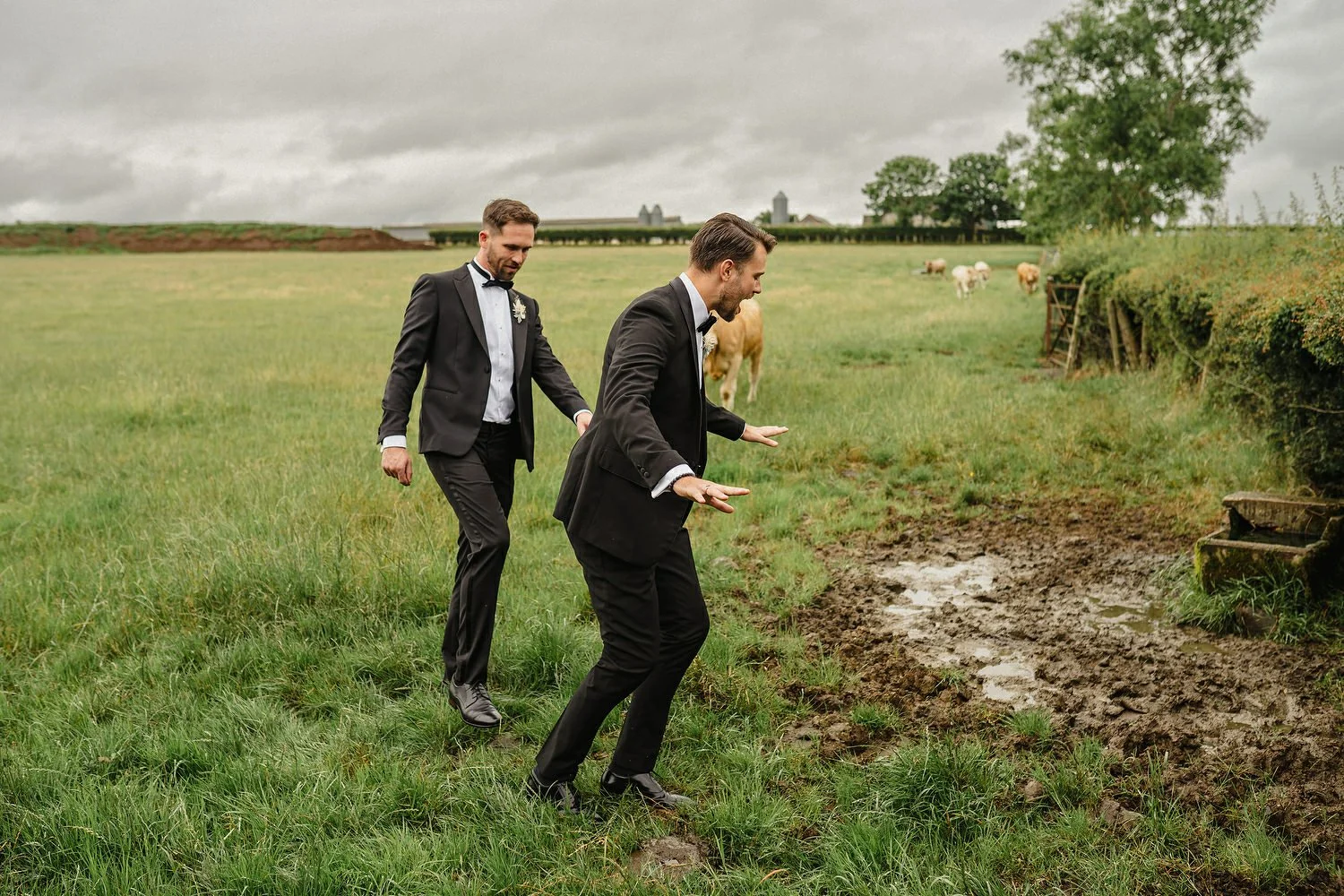  Best Wedding Photography Northern Ireland 2023 by Simple Tapestry  