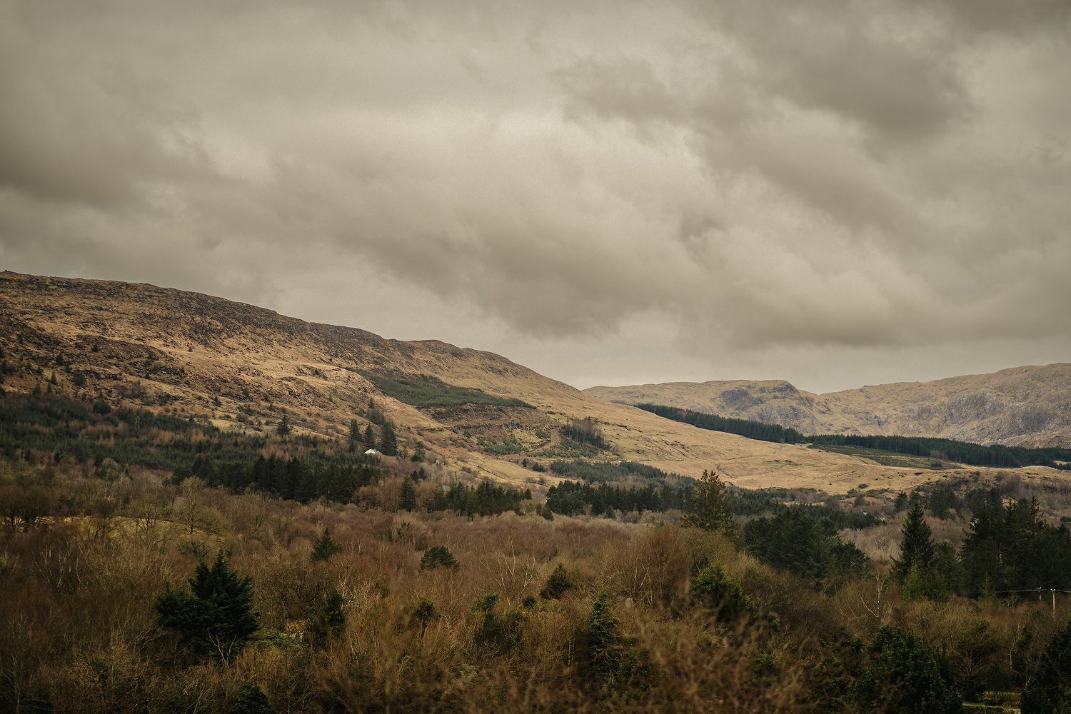  Best Wedding Photography Northern Ireland 2023 by Simple Tapestry  
