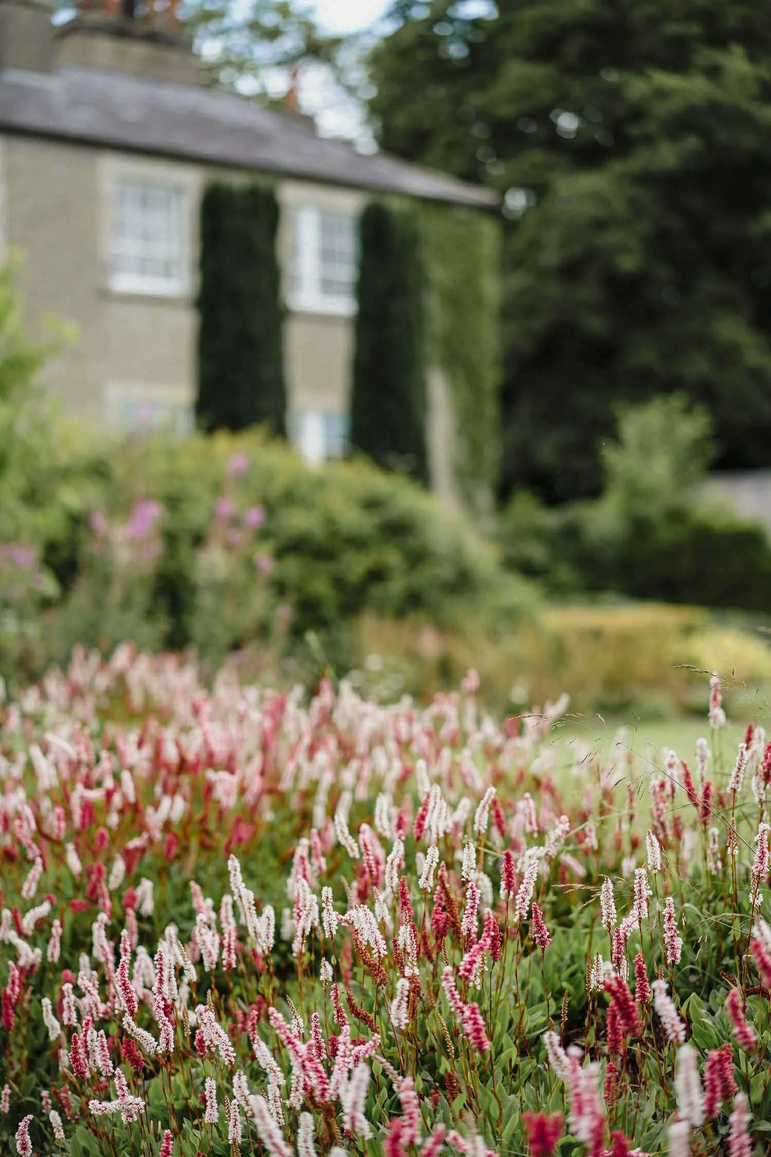 Old Rectory Killyman Wedding photos 060.JPG