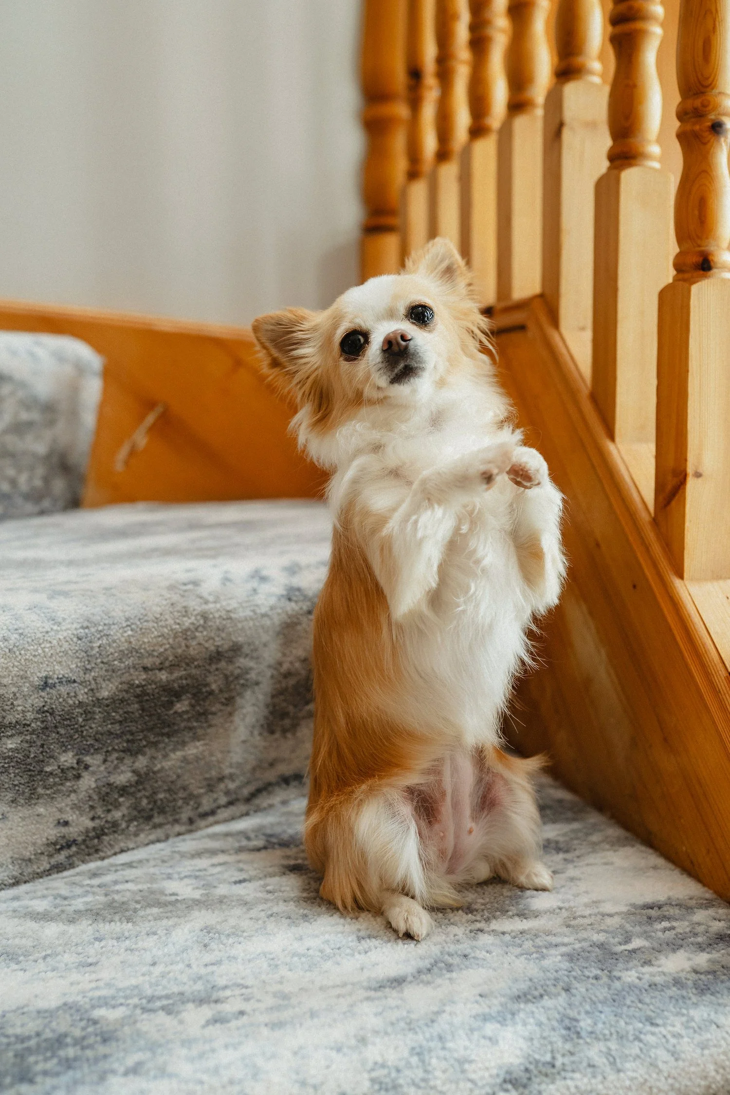 2024 wedding photography Northern Ireland 0028.JPG