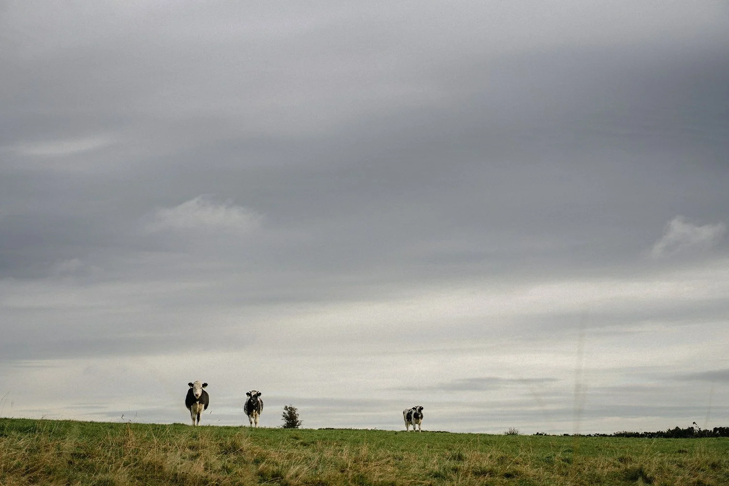 2024 wedding photography Northern Ireland 0017.JPG