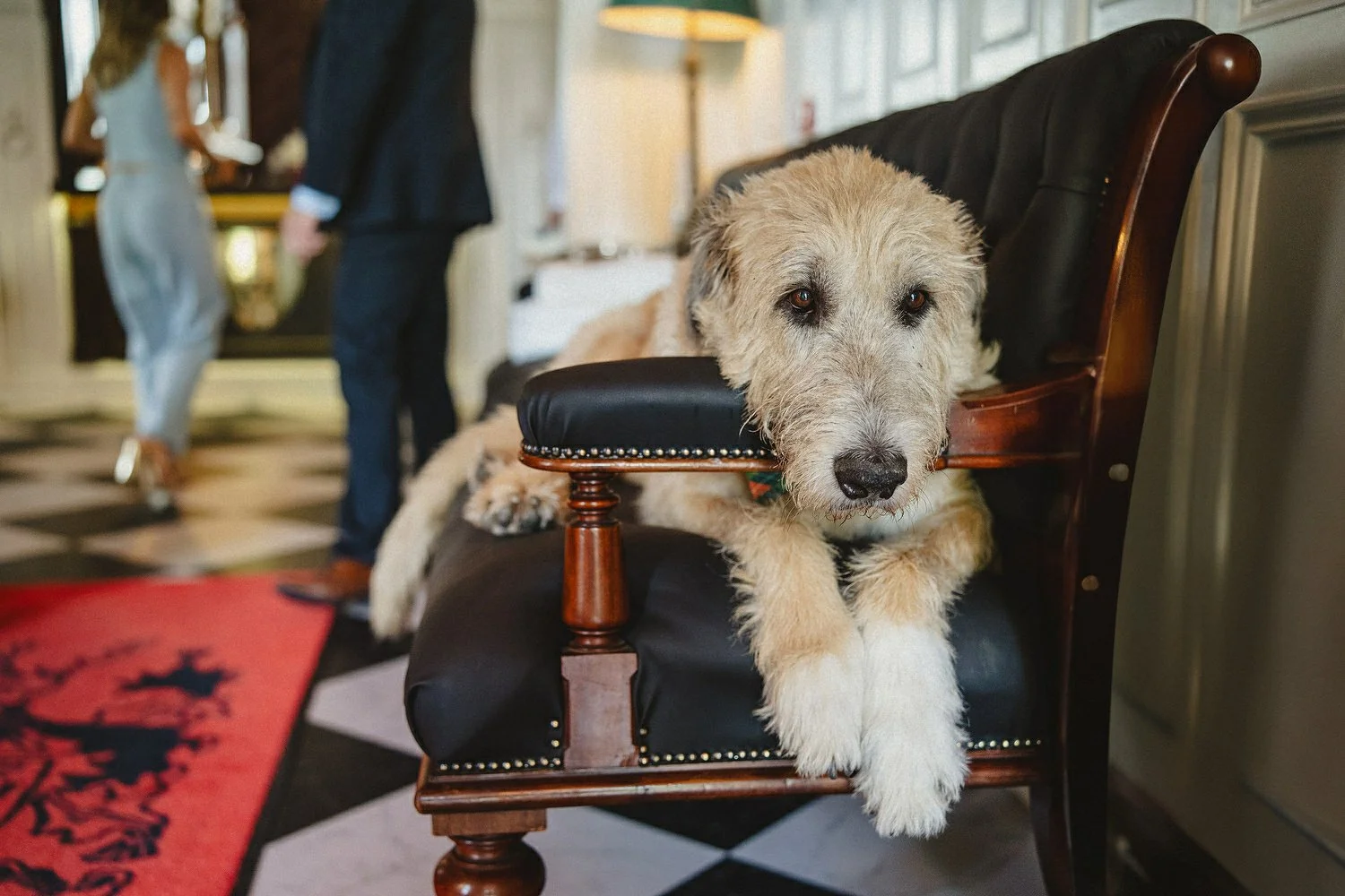 2024 wedding photography Northern Ireland 0181.JPG