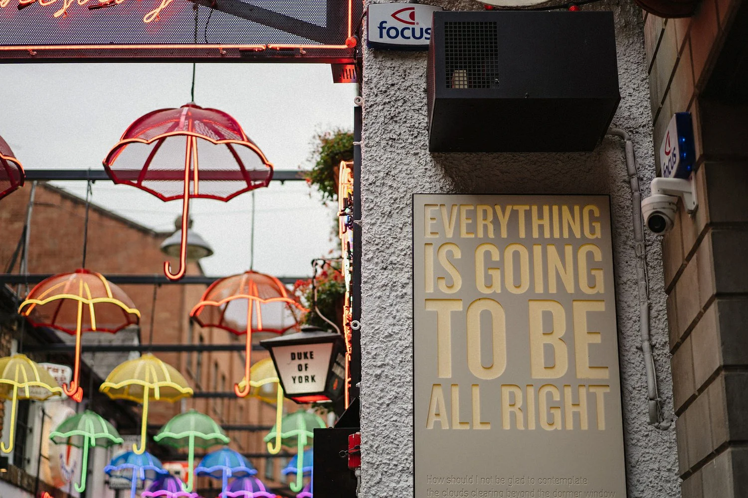 The Dark Horse Belfast Pub Wedding 0215.JPG